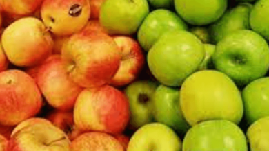 Benefitscalfresh: Calfresh Benefits Service
