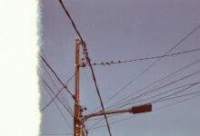 support line 6505410424