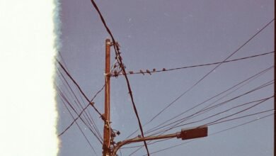 support line 6505410424