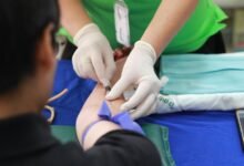 gonzay com services and contacts