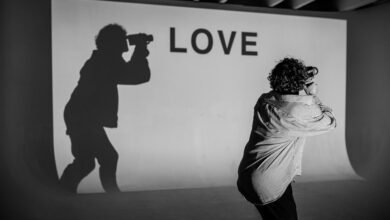 h maiz profile summary overview