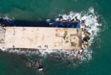 hentai platform features overview