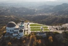 hollywood profile overview summary