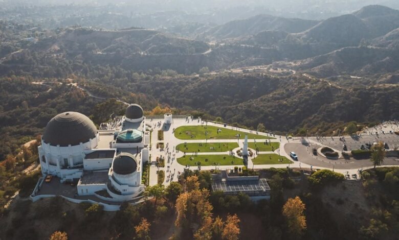 hollywood profile overview summary