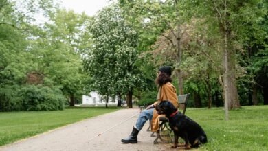 lopalapc2547 access guide free