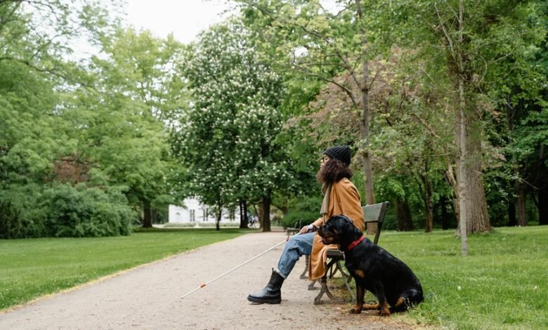 lopalapc2547 access guide free