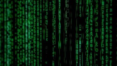 data analysis and overview