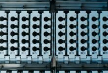 identified patterns in numbers