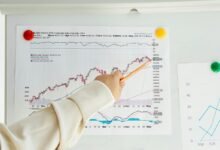 important numerical identifiers listed